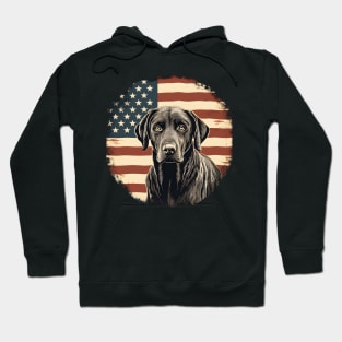 Chesapeake Bay Retriever 4th of July Hoodie